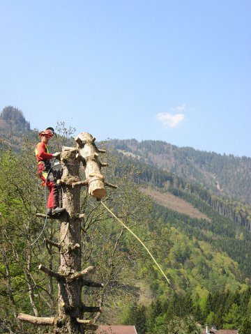 img_0409